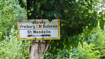 Der Querweg im Schwarzwald