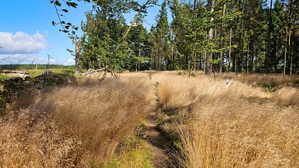 Schweden Trekking auf dem Skaneleden Schweden Trekking auf dem Skaneleden