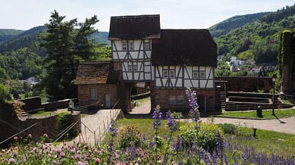 Neckarsteig Weitwanderweg Mehrtagestour Wanderung Mai Baden-Württemberg Hessen Odenwald Neckartal Schloss Hirschhorn Fachwerkhaus vierte Etappe