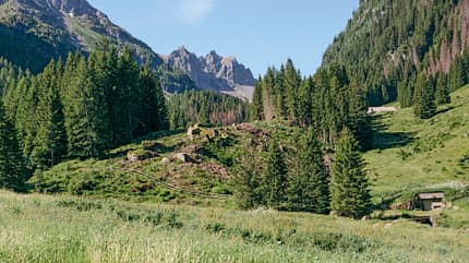 Trentino Italien Berge Gipfel Täler Wandern Urlaub Val di Fiemme Ledrotal Trentino Italien Berge Gipfel Täler Wandern Urlaub Val di Fiemme Ledrotal