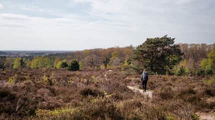 Natuurkampeerterreinen: dreitägige Wanderung über den Sallandse Heuvelrug und durchs Vechtdal, Niederlande Natuurkampeerterreinen: dreitägige Wanderung über den Sallandse Heuvelrug und durchs Vechtdal, Niederlande