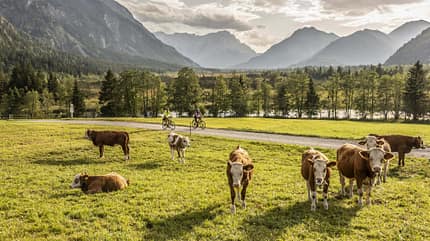 Garmisch Partenkirchen Bayern Deutschland Zugspitze Fahrrad fahren Mounainbike Urlaub Sommer