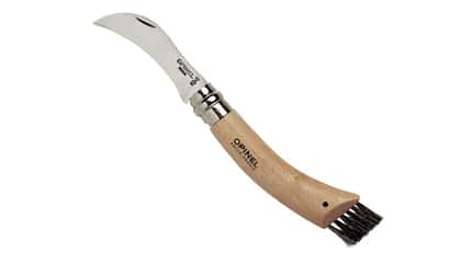 Pilzmesser Pilzmesser