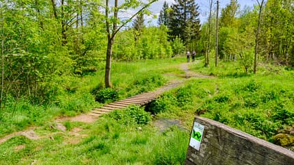 Fernwanderweg Westerwaldsteig