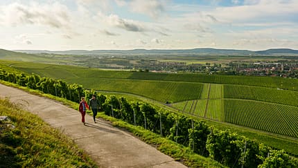 OD 2018 Mythos Bayern Sonderheft Frankenland Winzer Aufmacher Teaser