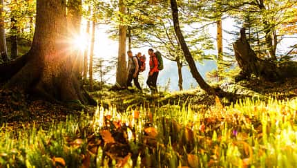 od-2018-bayern-ruhpoldingWandern Ruhpolding-Ruhpolding Tourismus GmbH-4 (jpg)