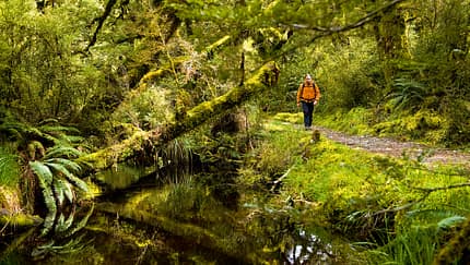 Die schönsten Treks auf der Südinsel