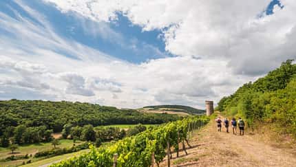 od-2016-rheinlandpfalz-rheinhessen-Hiwweltour Heideblick2 (jpg)