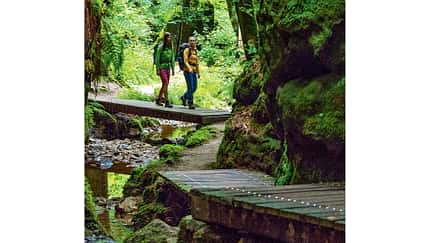 OD-0714-Luxemburg-Mullerthal-Trail-12