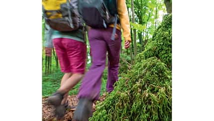 OD-0714-Luxemburg-Mullerthal-Trail-10
