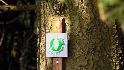 OD 2014 Harzer Hexen Stieg Brocken