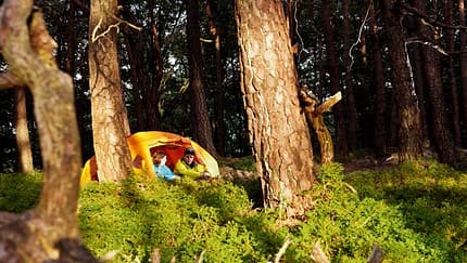 OD-0812-Zelten-Pfalz-03 (jpg) OD-0812-Zelten-Pfalz-03 (jpg)