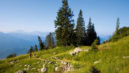 OD_0810_Chiemgau_06 (jpg)