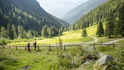 od-2019-valdisole-trentino-JKlatt_278 (jpg) od-2019-valdisole-trentino-JKlatt_278 (jpg)