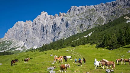 OD 0418 Mittenwald Bayern Törlspitzen