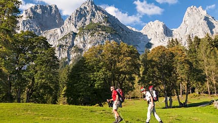 OD 0817 Salzburger Almenweg Tennengebirge Österreich