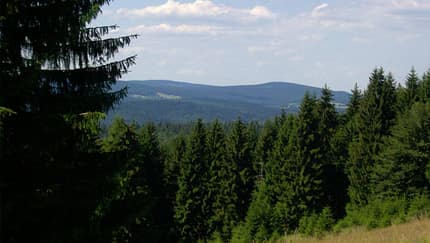 od-0715-thueringerwald-schneekopf (jpg)