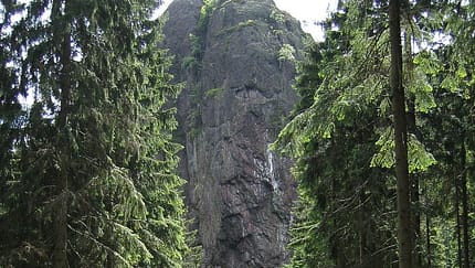 od-0715-thueringerwald-falkenstein (jpg)