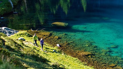 od-0415-trentino-passo-di-campo