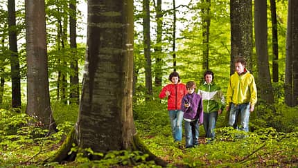 OD Abenteuer Geocaching: GPS-Schatzsuche im Wald