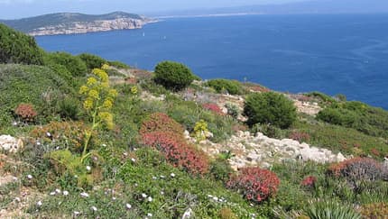 Sardinien Capo Caccia