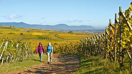 od-2012-elsass-vogesen-frankreich-herbst-(17) (jpg)