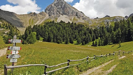 OD-0413-Trentino-Special-San Martino Aufmacher (jpg)