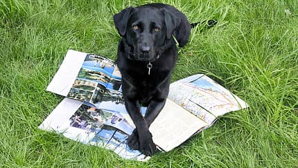 OD Reisen Urlaub Hund Tiere