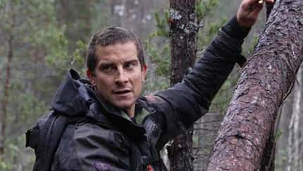 OD 0711 Bear Grylls Ausgesetzt-in-der-Wildnis_4 (jpg)