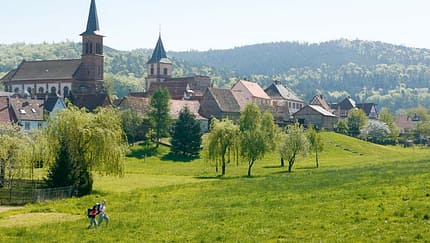 OD Die besten Frühjahrs-Ziele: Elsass