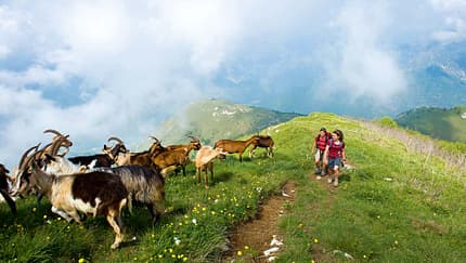 OD Die besten Frühjahrs-Ziele: Trentino