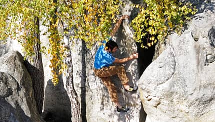 Fontainebleau Bouldern 95.2