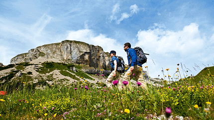 OD_Allg309_BEN3640 Frühling Frühjahr Allgäu Gottesacker (gif)
