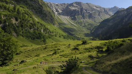 OD_0310_Tannheimer_Tal_06 (jpg)
