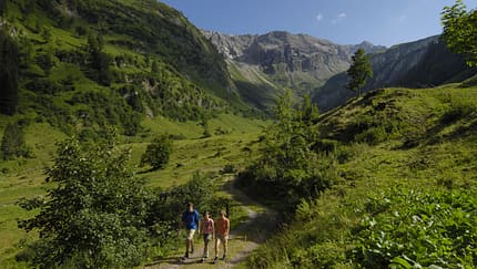 OD_0310_Tannheimer_Tal_05_Baergruendletal (jpg)