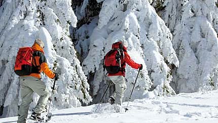 Feldberg