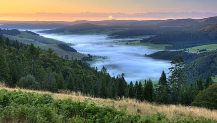 Frühnebel im Bernauer Hochtal 