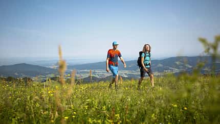 outdoor wandern freiburg wiese 