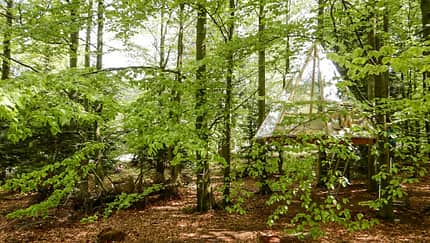 Baumhäuser Bad Herrenalb und Bad Teinach 