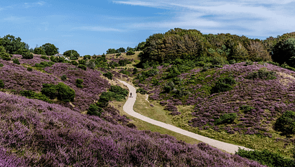 Visit Denmark - Wandern in Nordjütland
