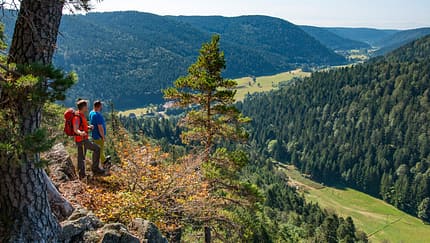 Auf dem Albsteig im Schwarzwald