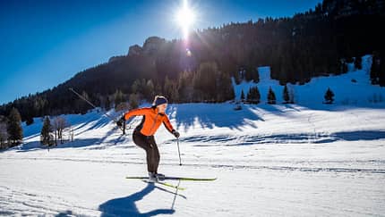 Bayern Online-Special: Allgäuer Alpen 
