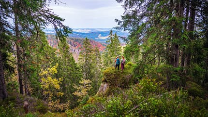 Feldberg Reportage Naturfreundehaus 