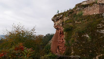 Pfälzerwald & Treidlerweg 