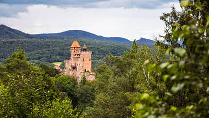 Pfalz Berwartstein