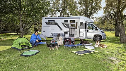 Hundezubehör, Wohnmobil und Mann mit Hunden auf einer Wiese