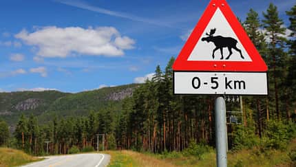 Elch-Schild in Setesdal, Norwegen Elch-Schild in Setesdal, Norwegen