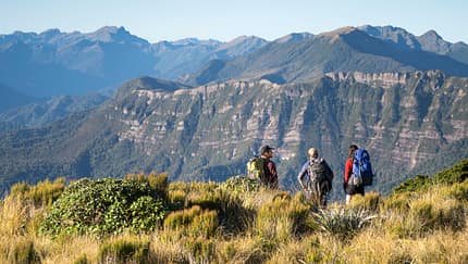 Neuseeland - Great Walks - Paparoa Trek