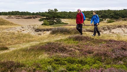 Nationalpark Trail Belgien