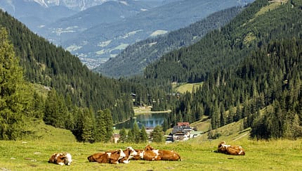 Zauchensee-Flachauwinkl im Salzburger Land, Österreich